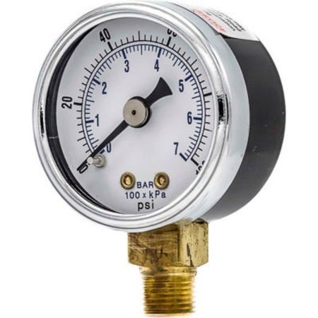 Engineered Specialty Products, Inc Pic Gauges 2" Utility Pressure Gauge, Dry Filled, 0/100 PSI Range, Lower Mount, 101D-204E 101D-204E